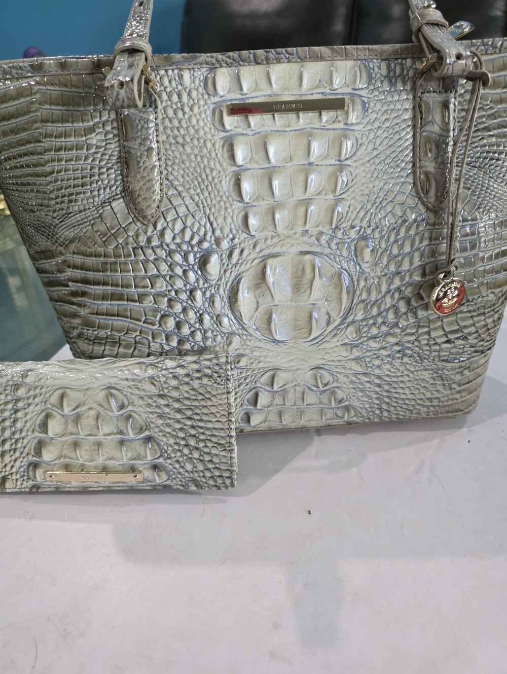 Nwt Brahmin Asher Set